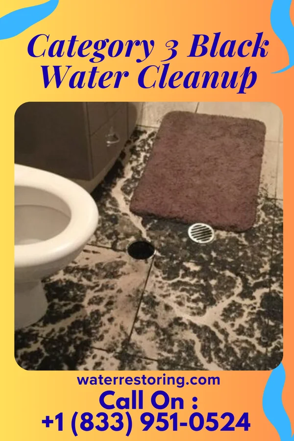 Category 3 Black Water Cleanup in Why, AZ