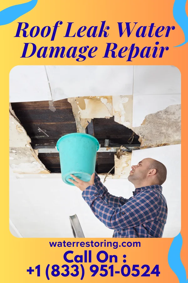 Roof Leak Water Damage Repair in Why, AZ